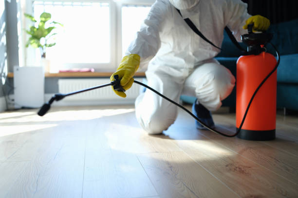 Trusted Hoarding Cleanup service in Edisto Island, SC - Four Month Blood Cleanse